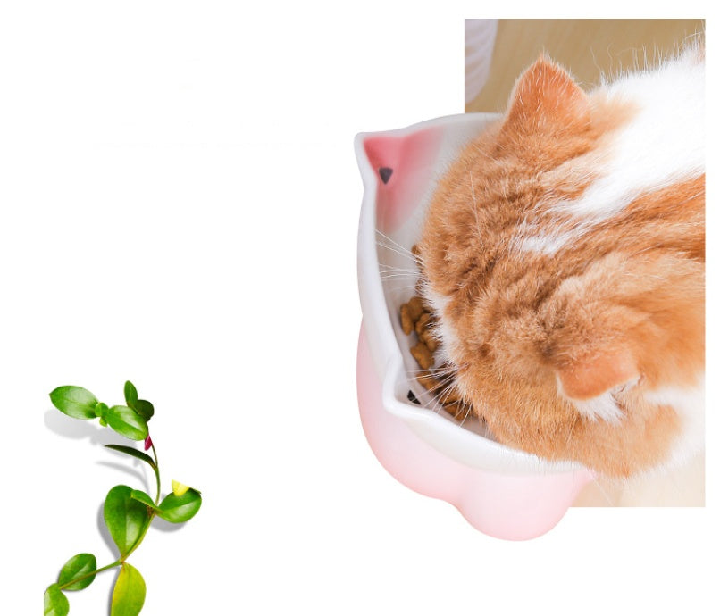 KFX-4315069 Ceramic Cat Bowl for Healthy Eating - Pink and Blue, 155g Grain & 300ml Water Capacity