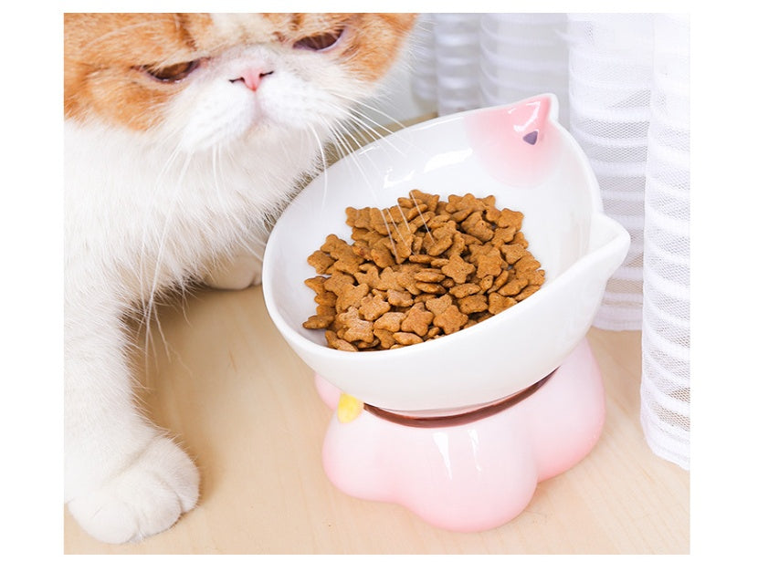 KFX-4315069 Ceramic Cat Bowl for Healthy Eating - Pink and Blue, 155g Grain & 300ml Water Capacity