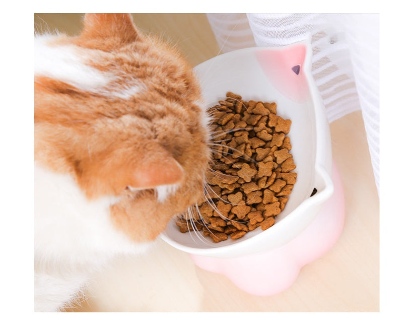 KFX-4315069 Ceramic Cat Bowl for Healthy Eating - Pink and Blue, 155g Grain & 300ml Water Capacity