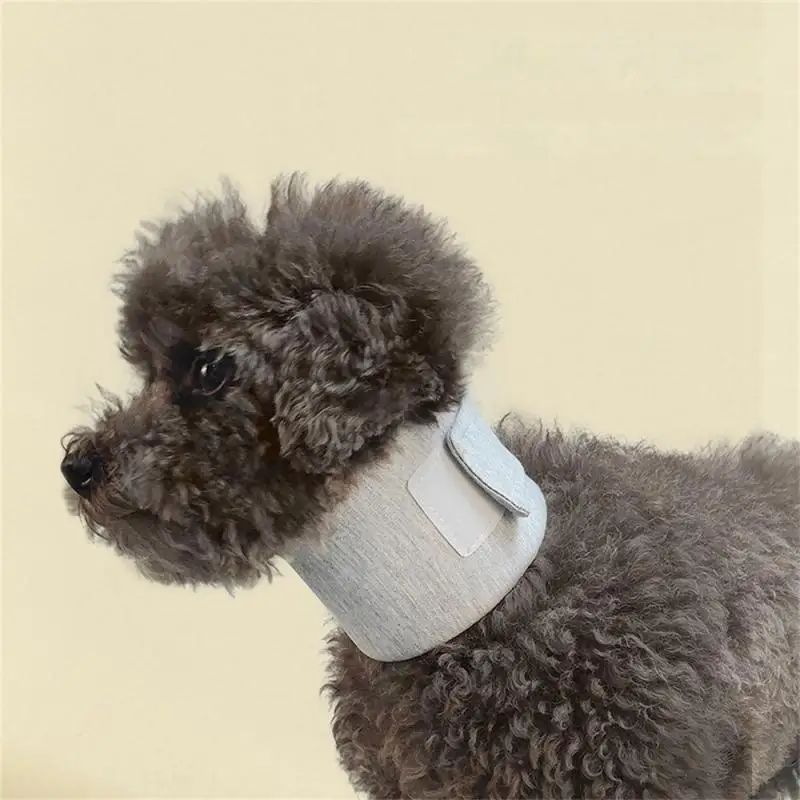 KFX-4327997 Adjustable Pet Recovery Collar for Cat & Dog Wound Protection and Healing