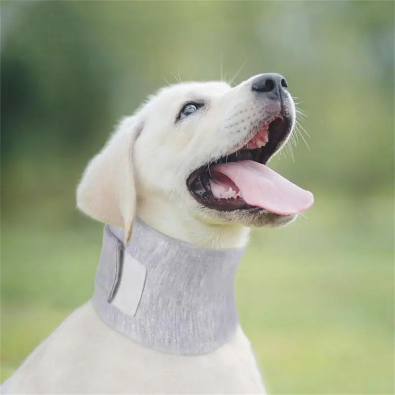 KFX-4327997 Adjustable Pet Recovery Collar for Cat & Dog Wound Protection and Healing
