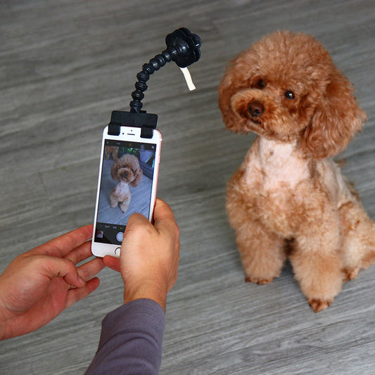KFX-4336957 Pet Selfie Stick for Dogs – Eco-Friendly ABS, Versatile Clips, Compact Design, Black and White