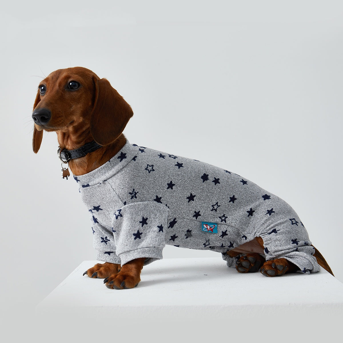 KFX-4346429 Thin Striped Casual Pet Clothing for Spring and Summer - Four-Legged Homewear