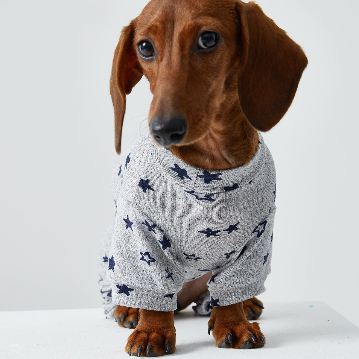 KFX-4346429 Thin Striped Casual Pet Clothing for Spring and Summer - Four-Legged Homewear