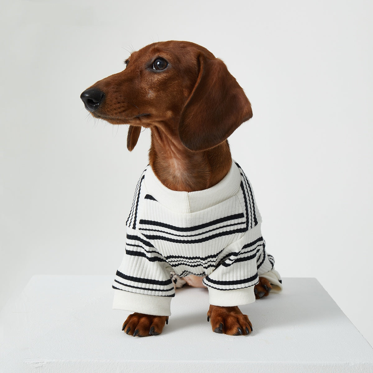 KFX-4346429 Thin Striped Casual Pet Clothing for Spring and Summer - Four-Legged Homewear