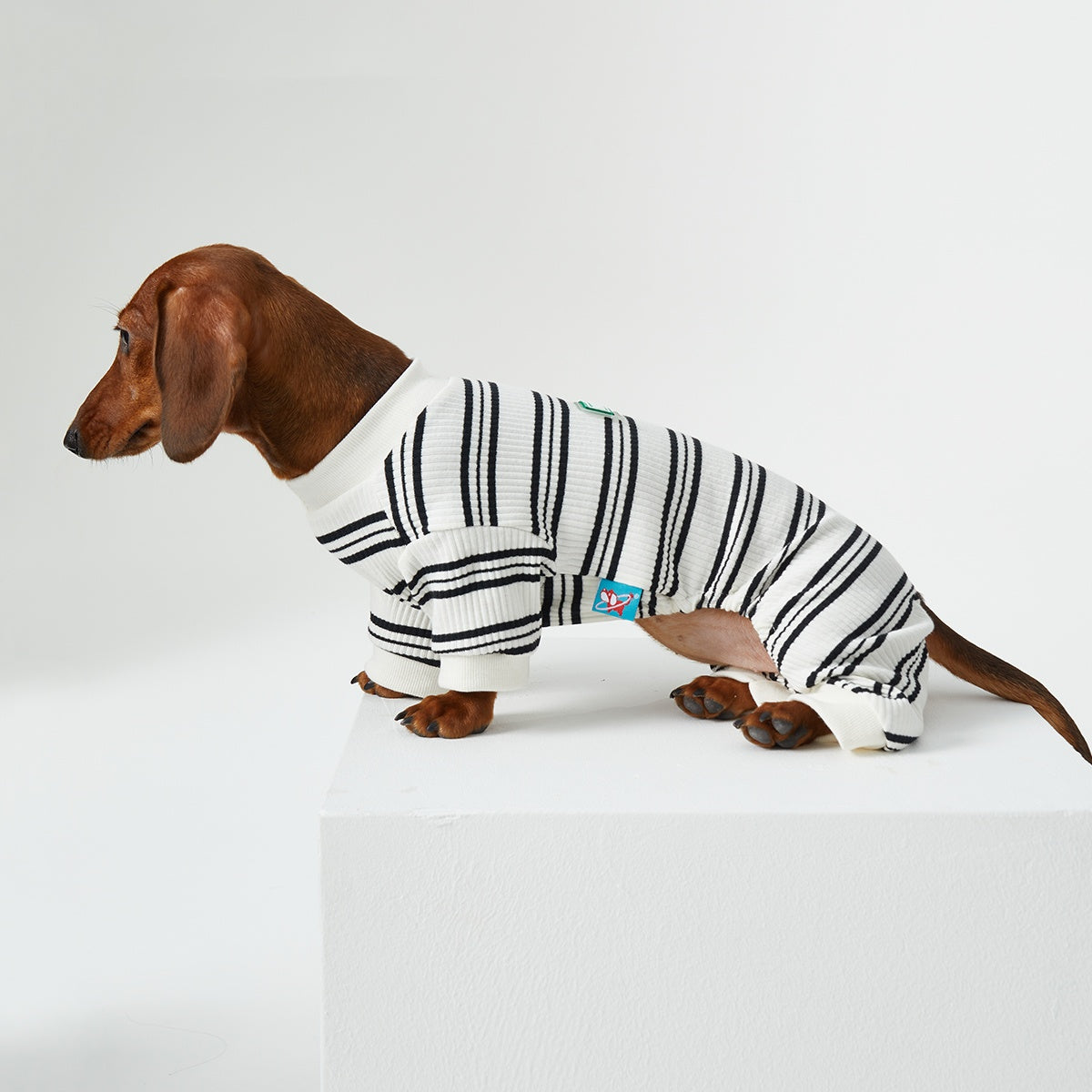 KFX-4346429 Thin Striped Casual Pet Clothing for Spring and Summer - Four-Legged Homewear