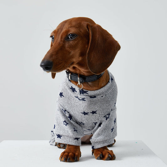 KFX-4346429 Thin Striped Casual Pet Clothing for Spring and Summer - Four-Legged Homewear