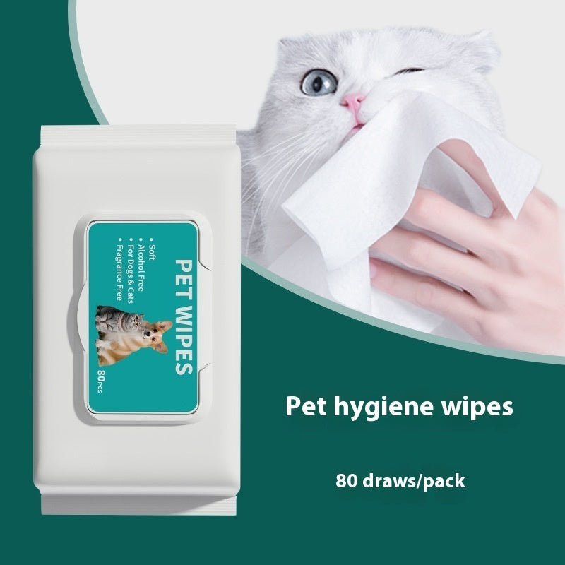 KFX-4347325 Cat Hygiene Disposable Cleaning Wipes - 10 Wipes per Pack