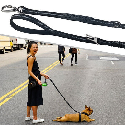 KFX-4347453 Durable Dog Walking Leash with Big Hook - Available in Multiple Colors