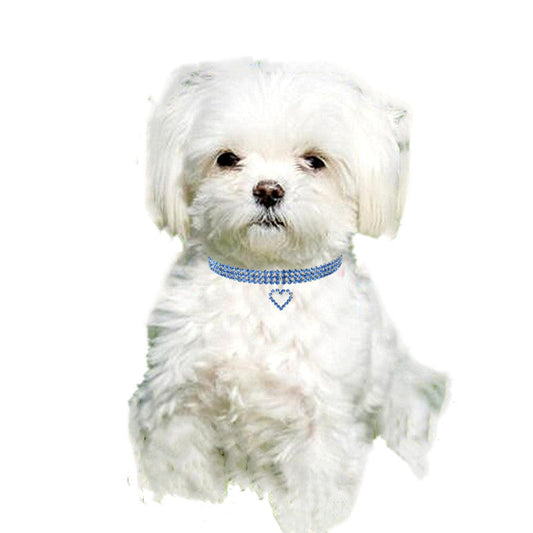 KFX-4349629 Rhinestone Dog Necklace in Copper with Silver Plating - Available in S/M/L Sizes