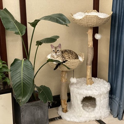 KFX-4355005 Flower-Shaped Integrated Climbing Frame for Cats with Grasping Board and Plush Base