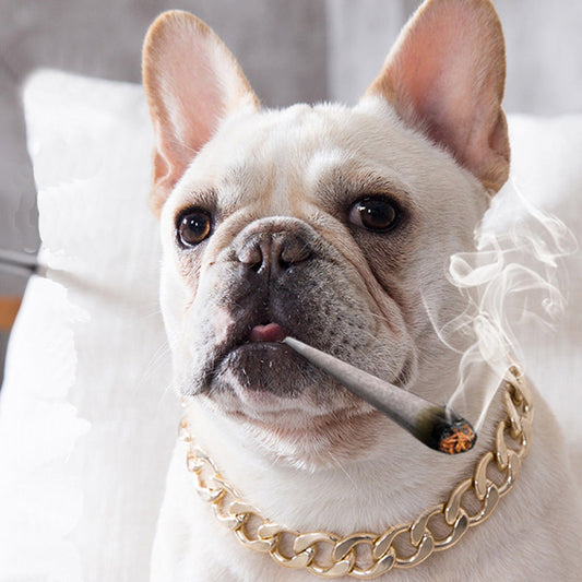 KFX-4355389 Geometric Gold Metal Dog Chain Collar - Various Lengths for Neck Sizes