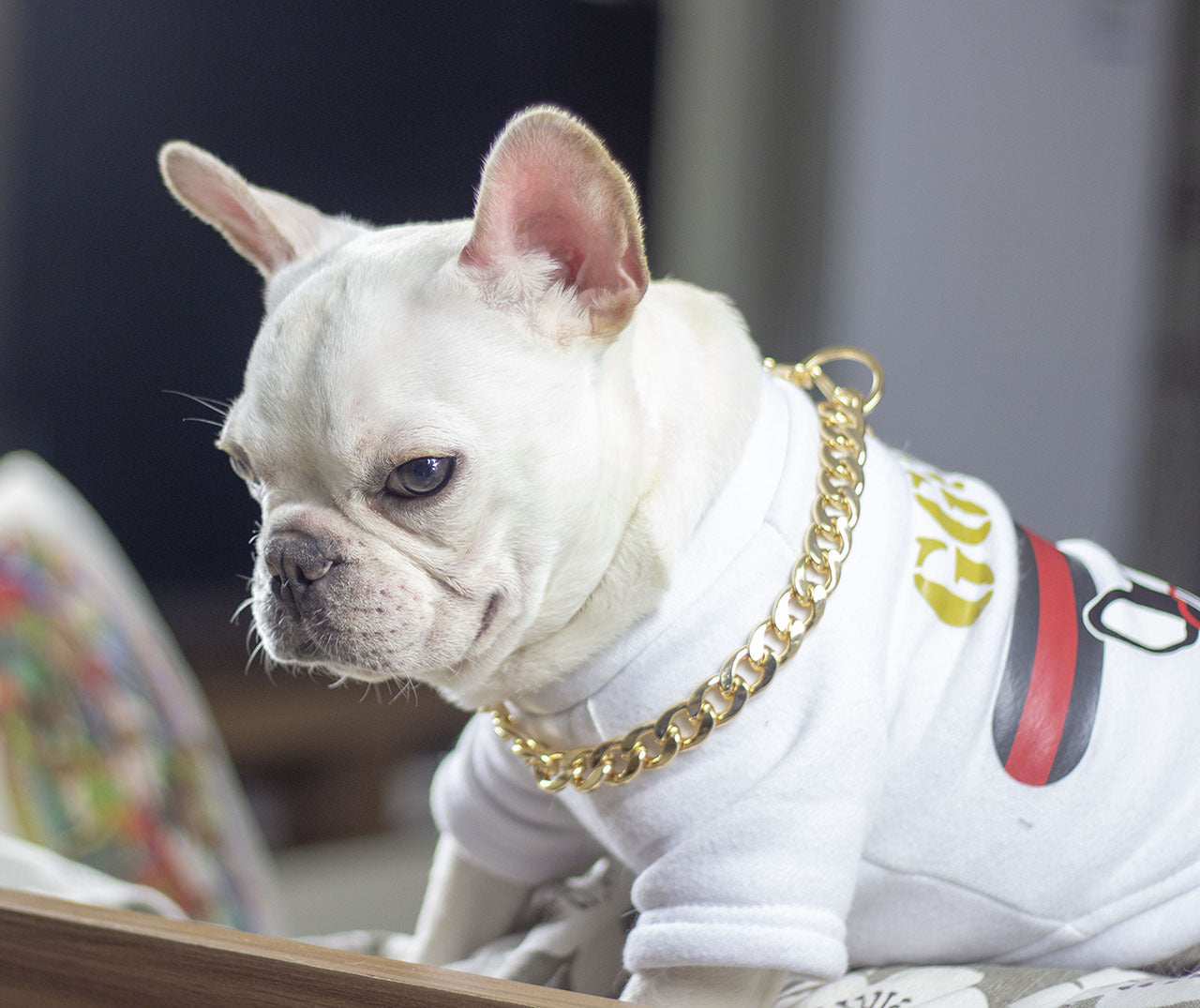 KFX-4355389 Geometric Gold Metal Dog Chain Collar - Various Lengths for Neck Sizes