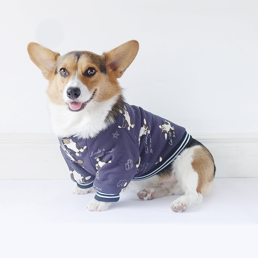 KFX-4357565 Winter Dog Clothes in Cotton - Purple & Dark Blue, Sizes XS to XXL
