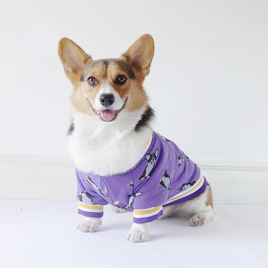 KFX-4357565 Winter Dog Clothes in Cotton - Purple & Dark Blue, Sizes XS to XXL