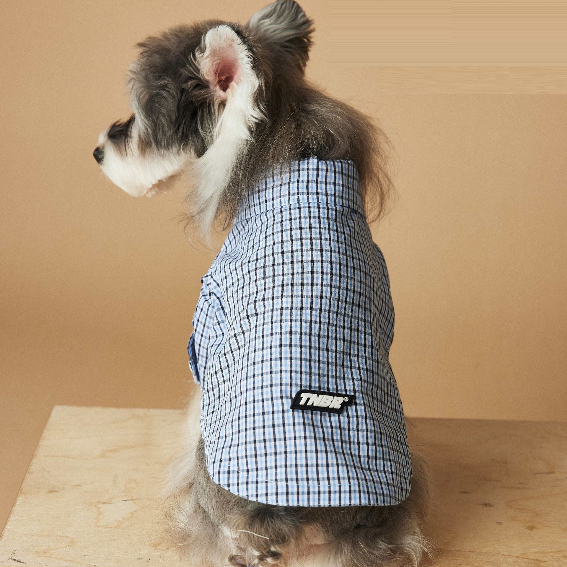 KFX-4360765 Light Blue Summer Plaid Shirt for Small Dogs - Cotton, Sizes XS to XXL