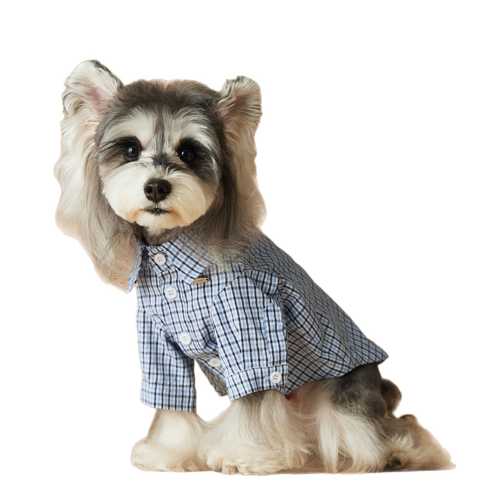 KFX-4360765 Light Blue Summer Plaid Shirt for Small Dogs - Cotton, Sizes XS to XXL