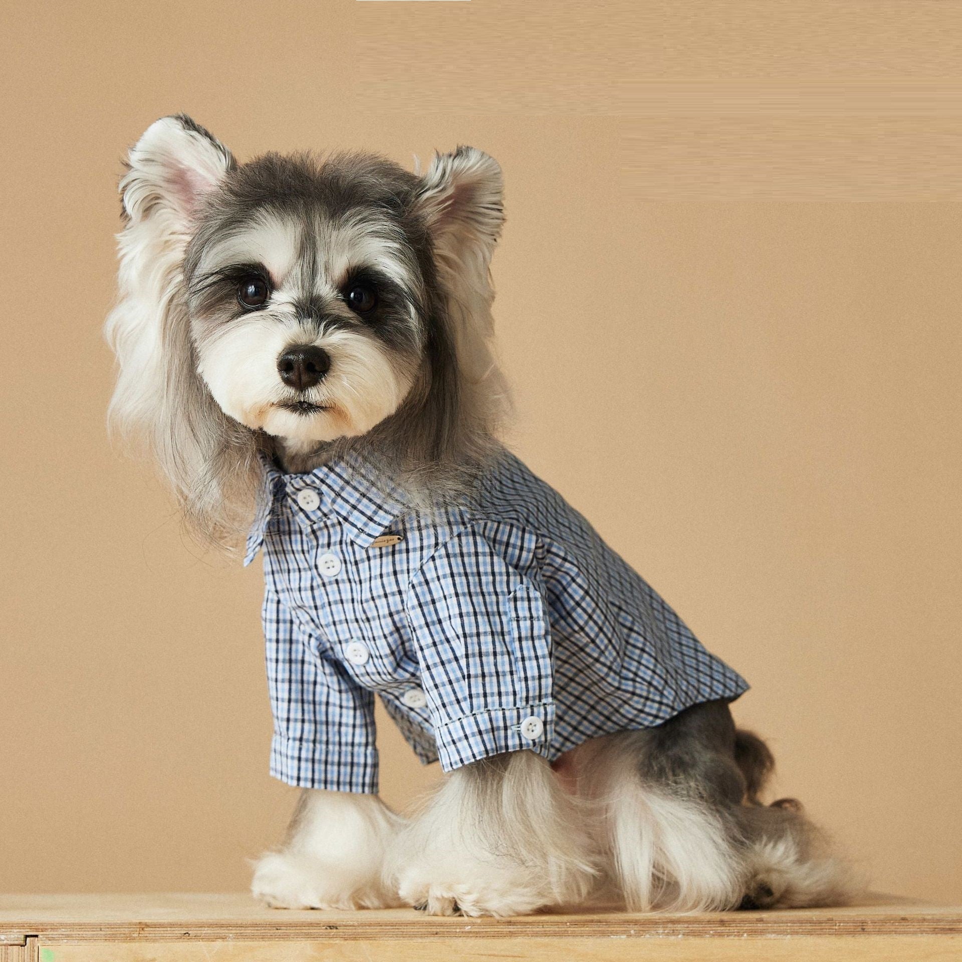 KFX-4360765 Light Blue Summer Plaid Shirt for Small Dogs - Cotton, Sizes XS to XXL