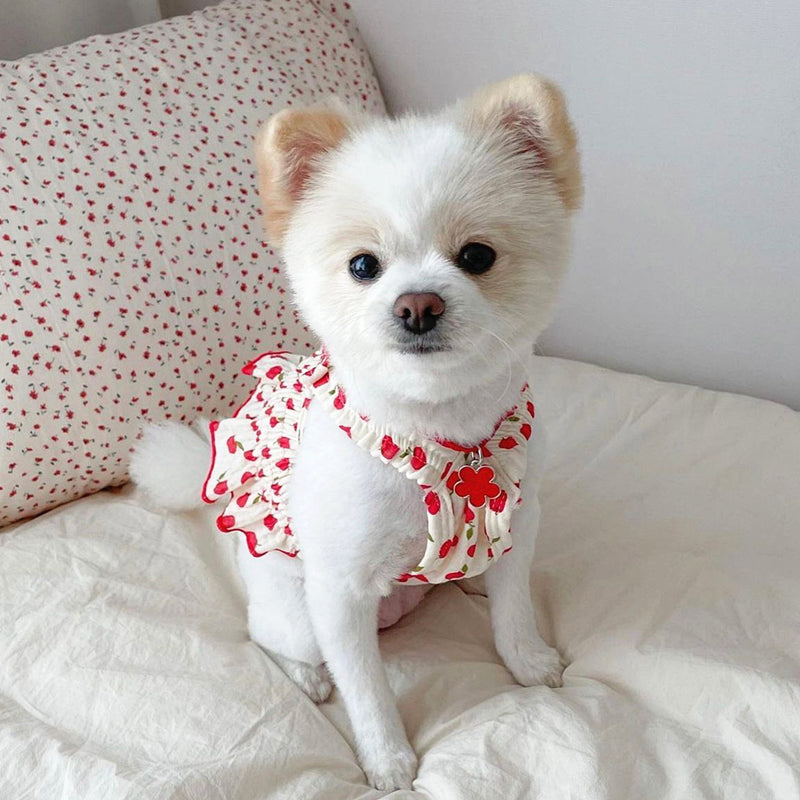 KFX-4361533 Summer Teddy Skirt Dress for Dogs in Yellow, Red, and Pink - Lightweight Pet Apparel