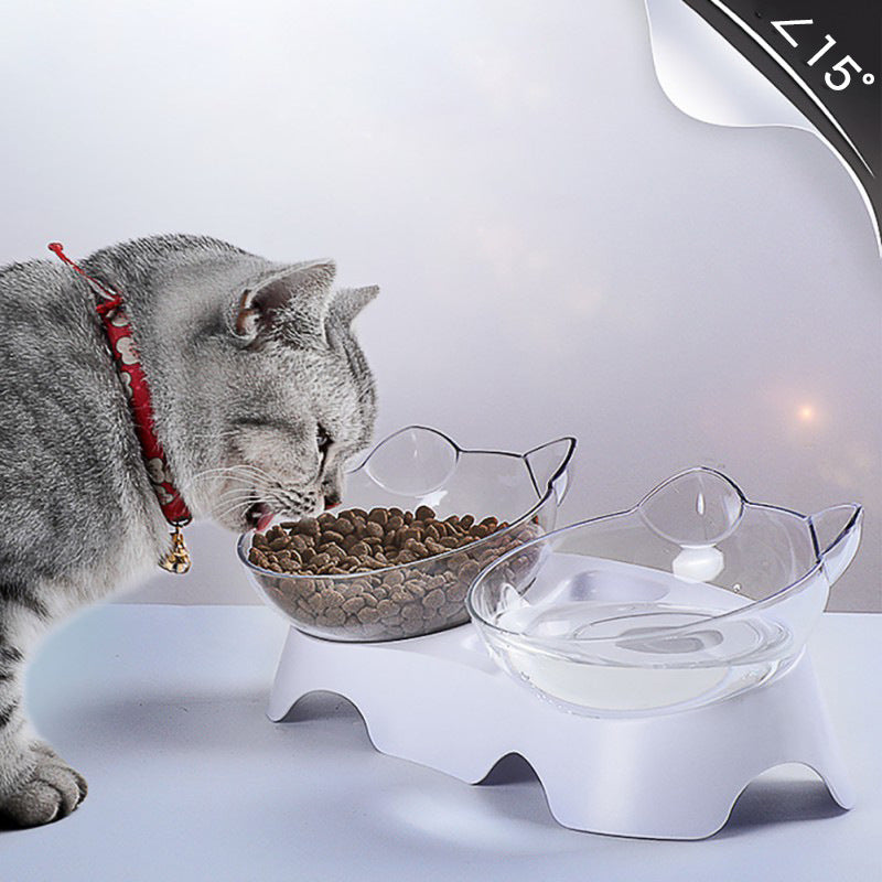 KFX-4365117 Transparent Double Pet Bowl with Oblique Mouth and Neck Guard - Non-Ceramic Design