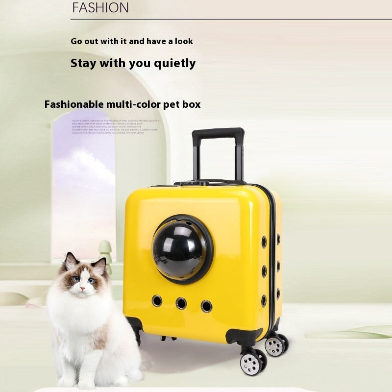KFX-4365373 Space Capsule Cat Carrier Bag – Hard PVC Pet Travel Suitcase in Multiple Colors