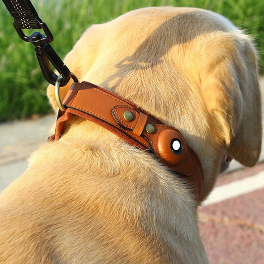 KFX-4370877 Leather Dog Collar with Location Tracker - Black, Army Green, Orange, Sizes S to L