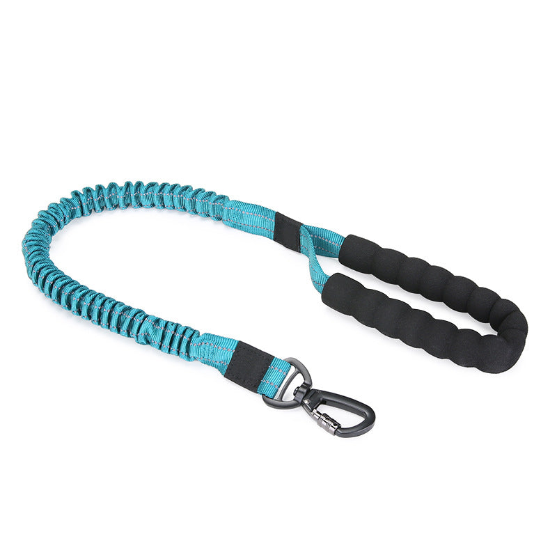 KFX-4373949 Elastic Nylon Dog Leash for Small to Large Dogs - High Elasticity, Multiple Colors Available