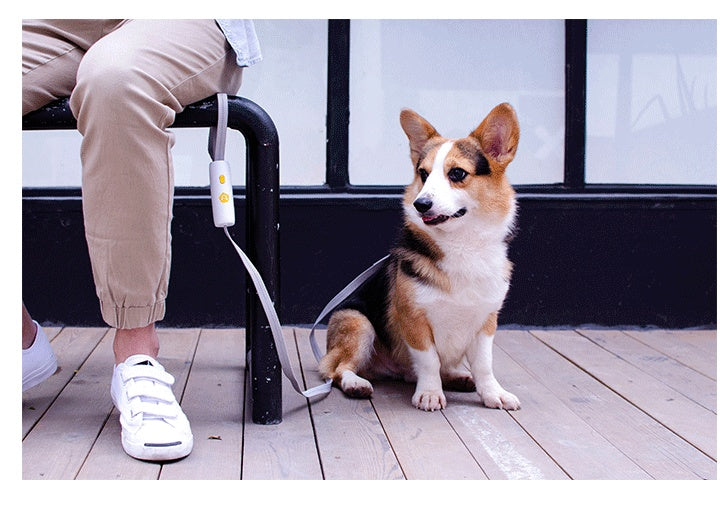 KFX-4374461 Hands-Free Elastic Dog Leash for Small and Medium-Sized Dogs, Adjustable Length, Durable Nylon and Polyester Material