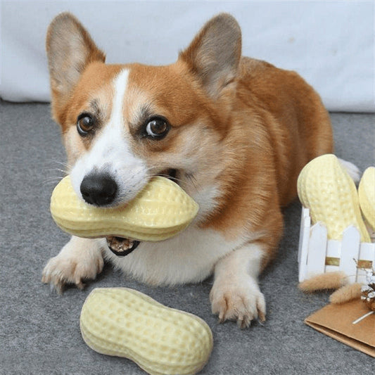 KFX-4375485 Interactive Pet Dog Sound Toy for Boredom Relief, TPR Material, Multi-Color Options
