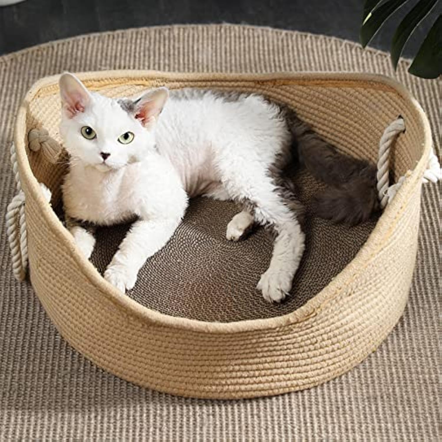 KFX-4377917 Spacious Wicker Cat Bed with Corrugated Scratching Surface - Cozy Nest for Cats