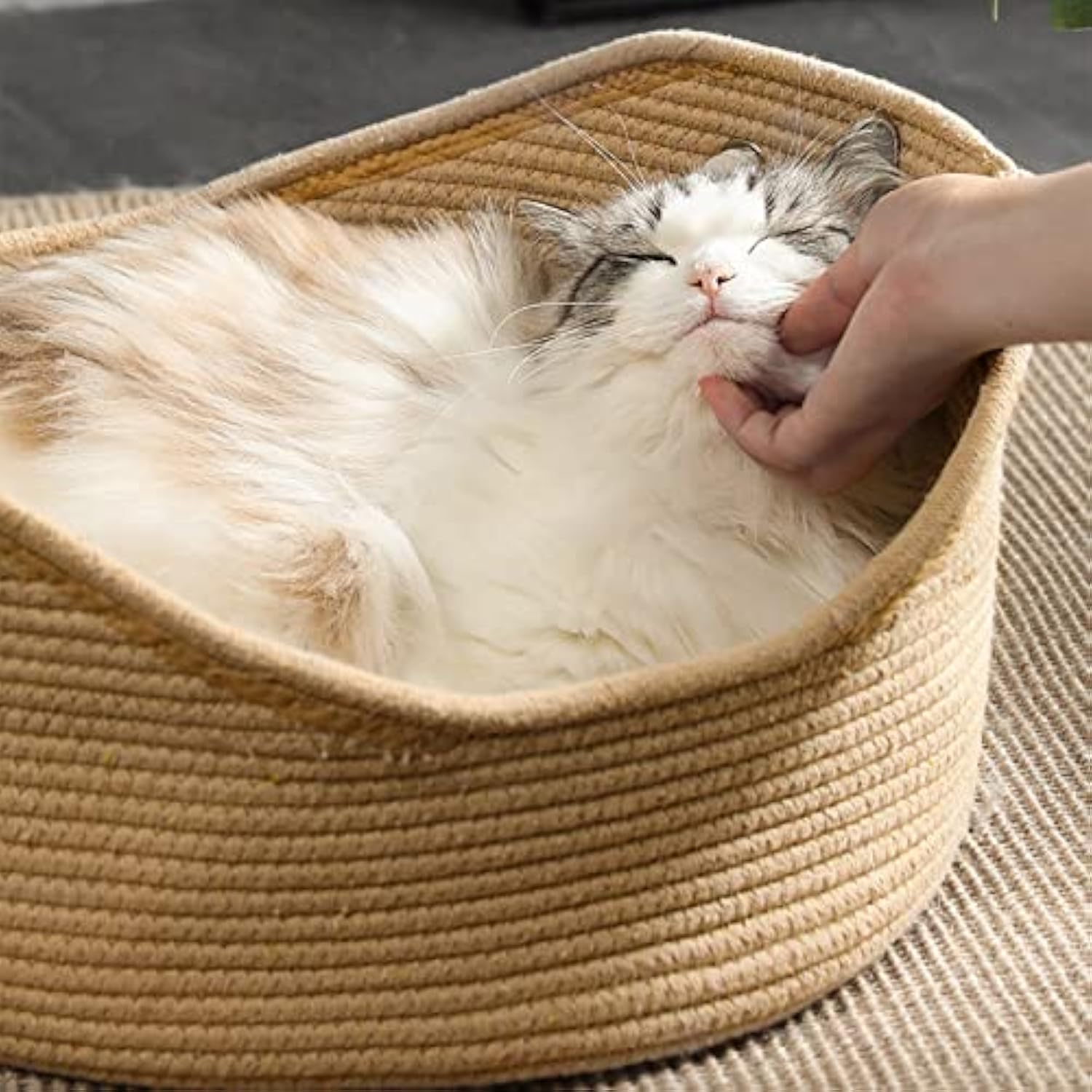 KFX-4377917 Spacious Wicker Cat Bed with Corrugated Scratching Surface - Cozy Nest for Cats