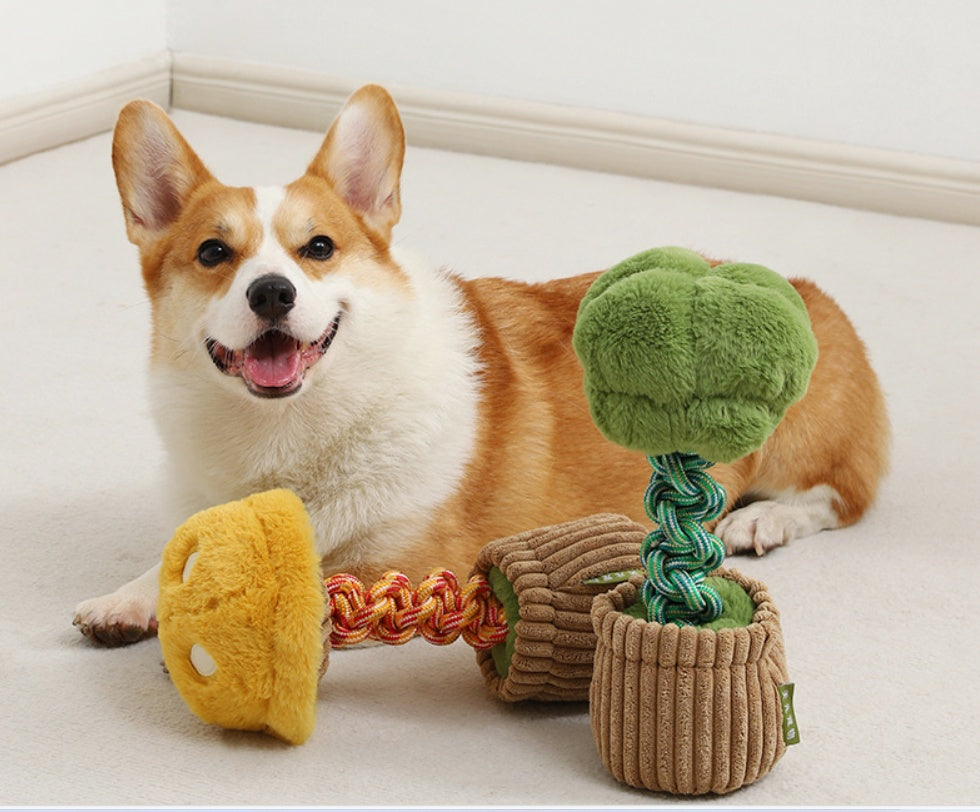 KFX-4387005 Durable Dog Teether Knot Toy - Bite-resistant Polyester in Mushroom and Broccoli Colors
