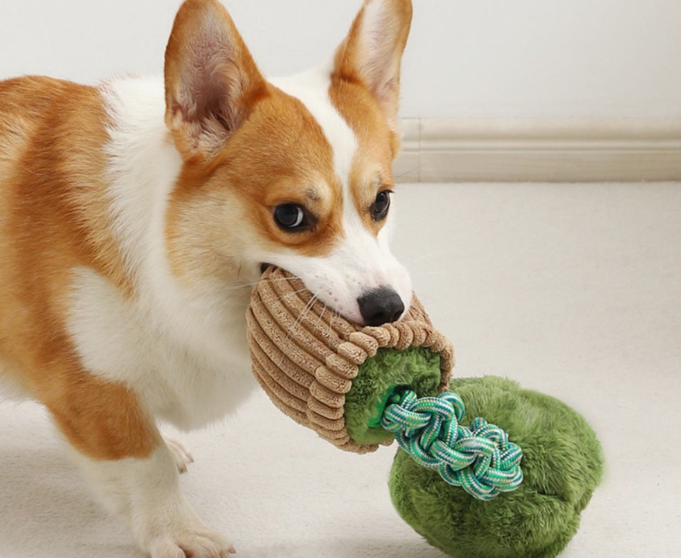 KFX-4387005 Durable Dog Teether Knot Toy - Bite-resistant Polyester in Mushroom and Broccoli Colors
