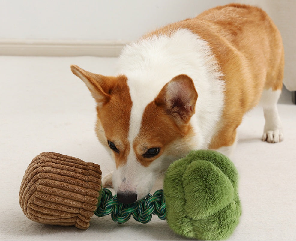 KFX-4387005 Durable Dog Teether Knot Toy - Bite-resistant Polyester in Mushroom and Broccoli Colors