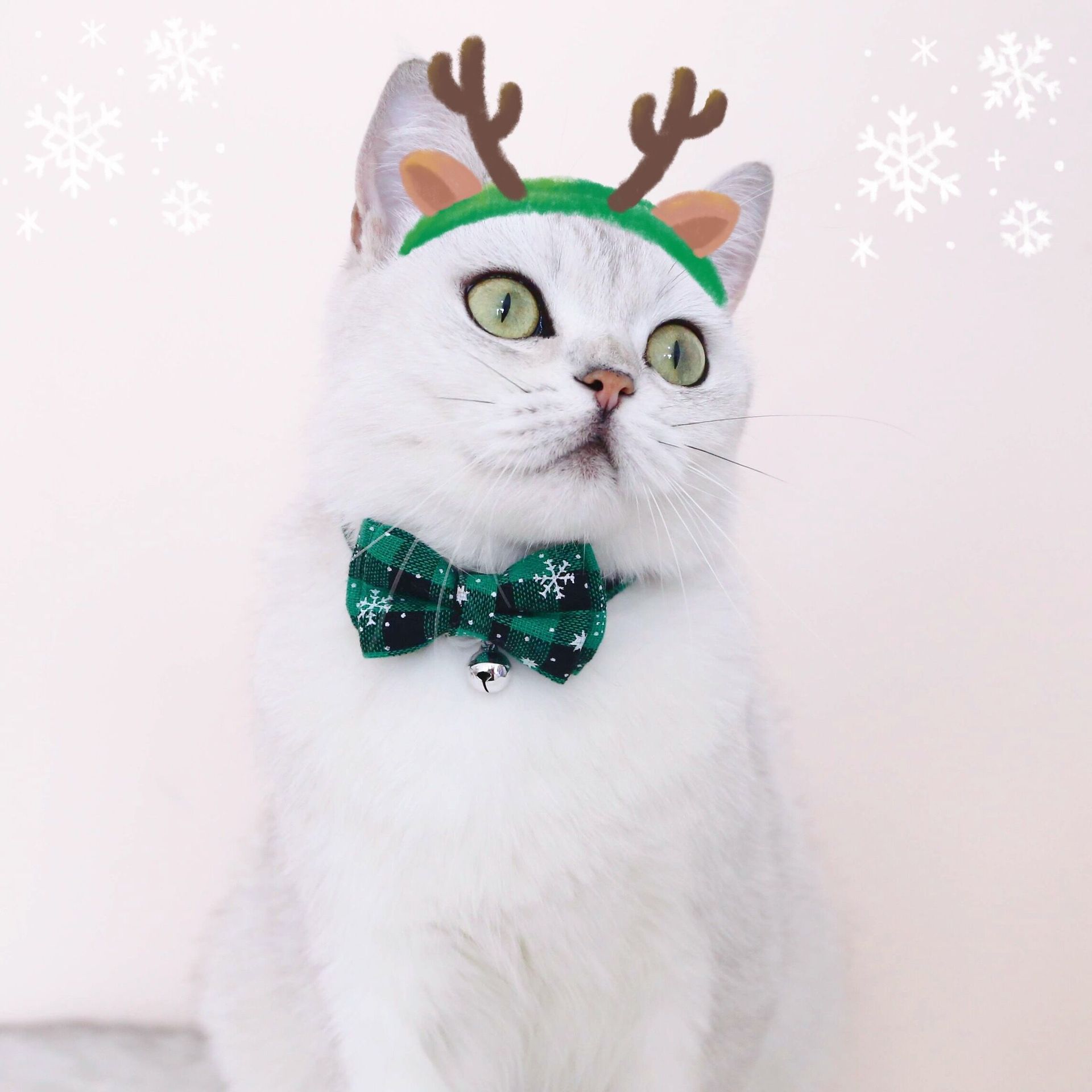 KFX-4388157 Adjustable Double-Layer Bow Snowflake Plaid Collar for Dogs and Cats with Bell, Holiday Accessory