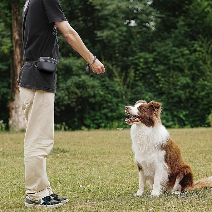 KFX-4398141 Portable Silicone Dog Training Waist Bag with Belt - Multiple Colors Available