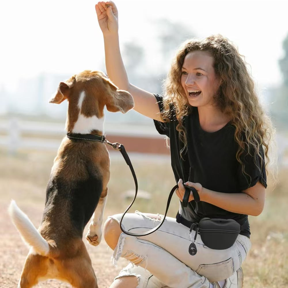 KFX-4398141 Portable Silicone Dog Training Waist Bag with Belt - Multiple Colors Available