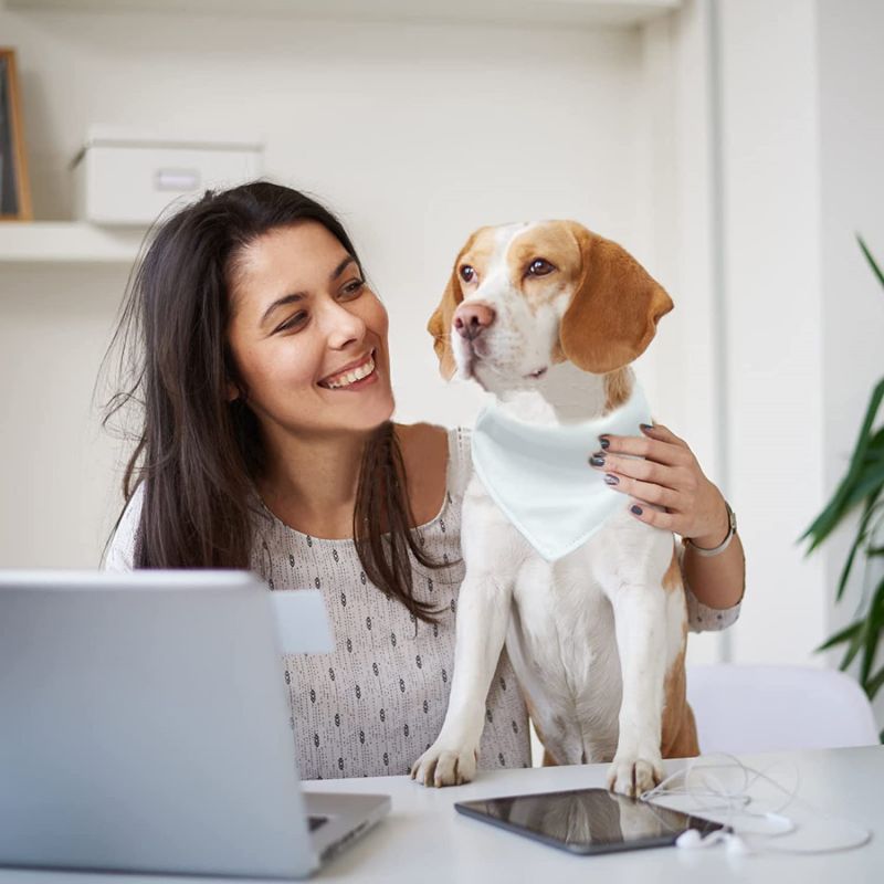 KFX-4399165 Personalized Adjustable Thermal Transfer Dog Scarf - Casual Style, Multiple Sizes Available