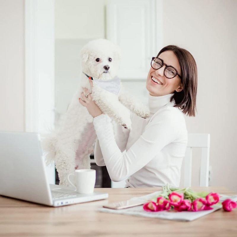KFX-4399165 Personalized Adjustable Thermal Transfer Dog Scarf - Casual Style, Multiple Sizes Available