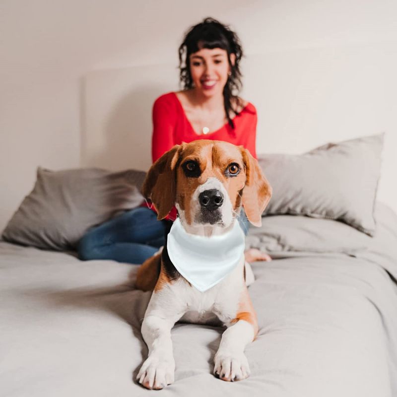 KFX-4399165 Personalized Adjustable Thermal Transfer Dog Scarf - Casual Style, Multiple Sizes Available