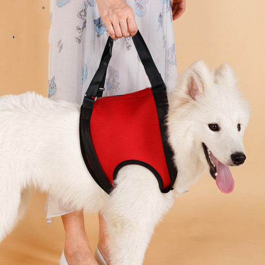 KFX-4404925 Assistance Strap for Aging Golden Retriever - Neoprene Pet Support Belt in Multiple Colors