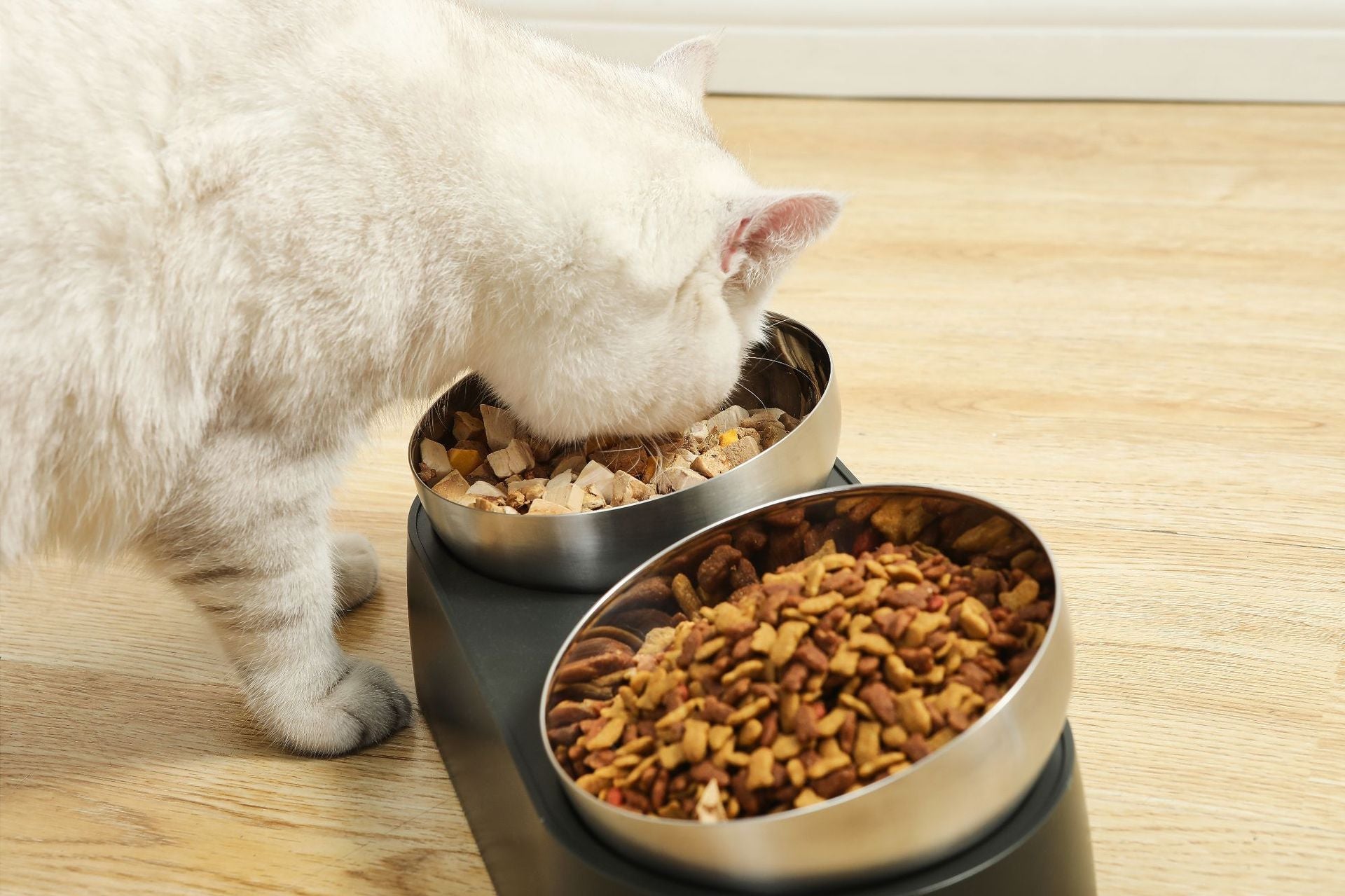 KFX-4407613 Pet Neck Protection Anti-Tumble Bowl for Cats and Dogs - ABS Stainless Steel Design, Single or Double Bowl