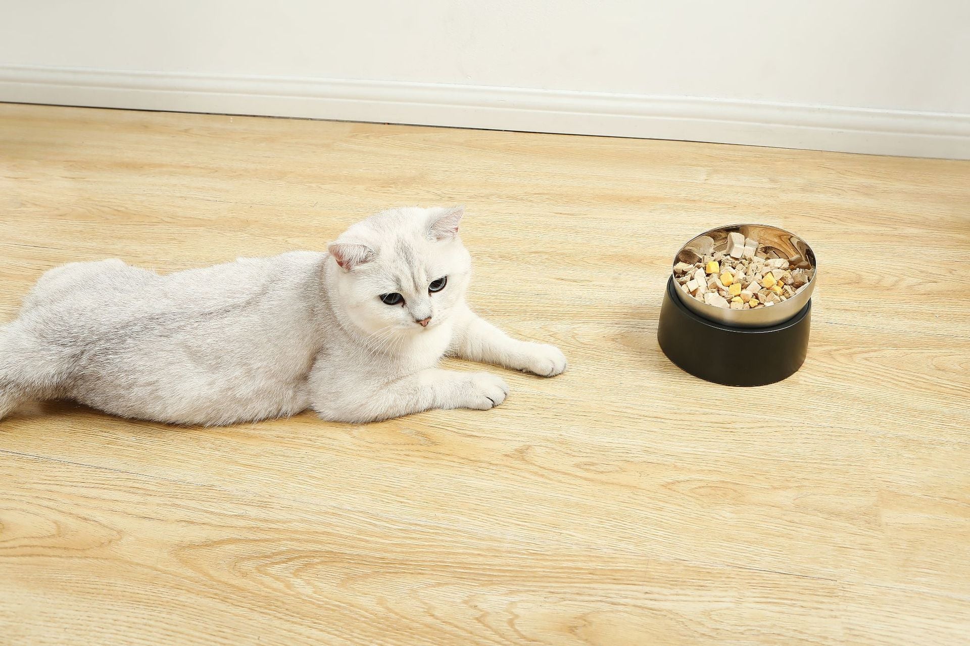 KFX-4407613 Pet Neck Protection Anti-Tumble Bowl for Cats and Dogs - ABS Stainless Steel Design, Single or Double Bowl