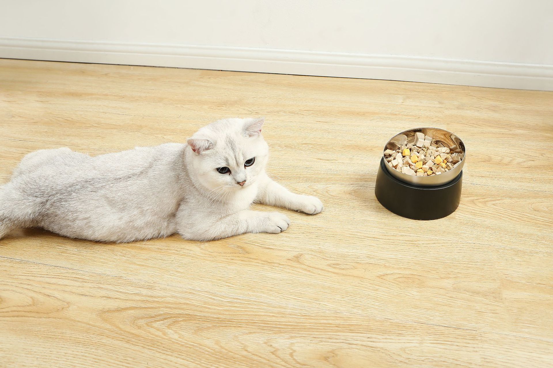 KFX-4407613 Pet Neck Protection Anti-Tumble Bowl for Cats and Dogs - ABS Stainless Steel Design, Single or Double Bowl