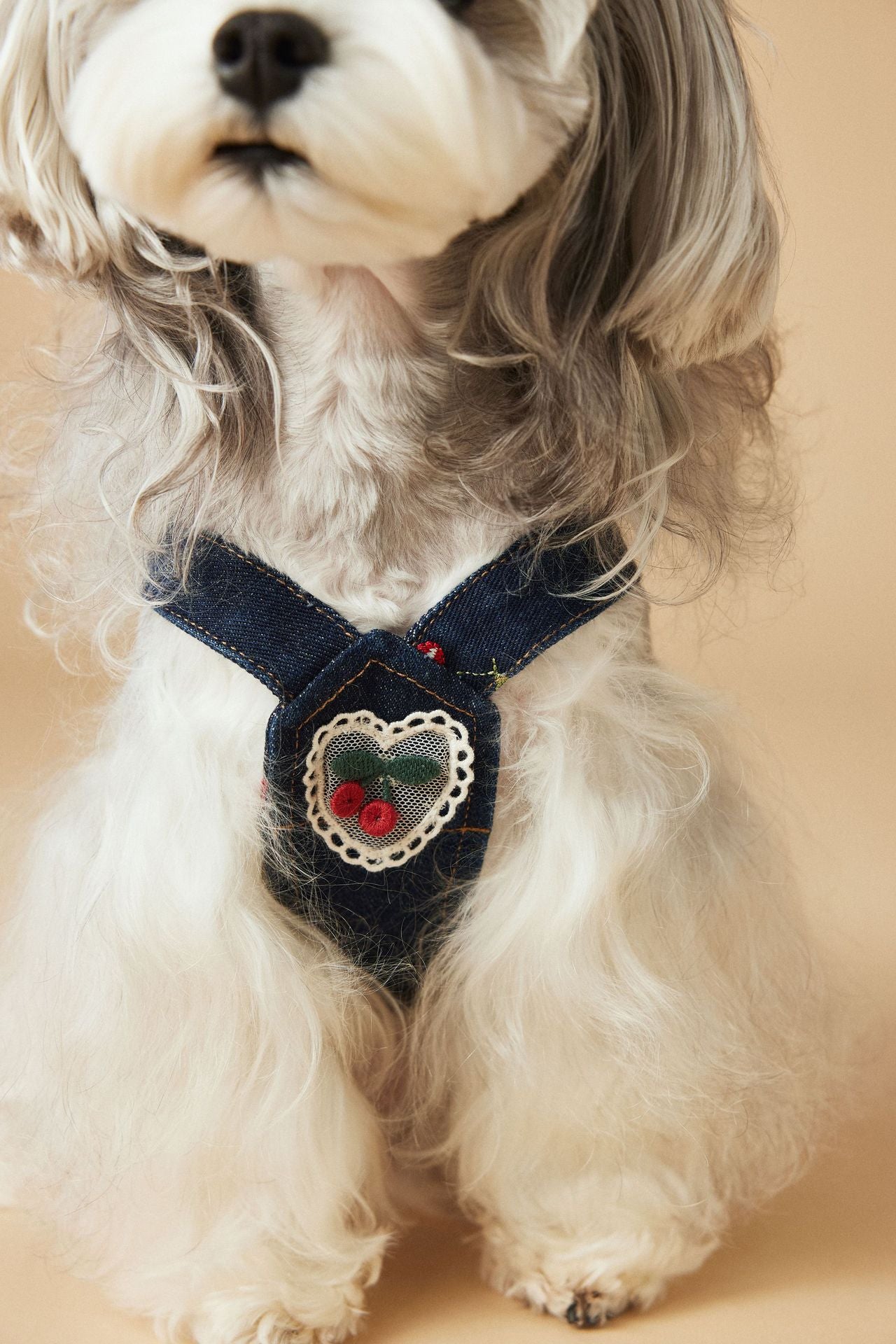 KFX-4411965 Cherry Denim Dress for Dogs - Casual Navy Blue Pet Clothing in Multiple Sizes (XS-XXL)