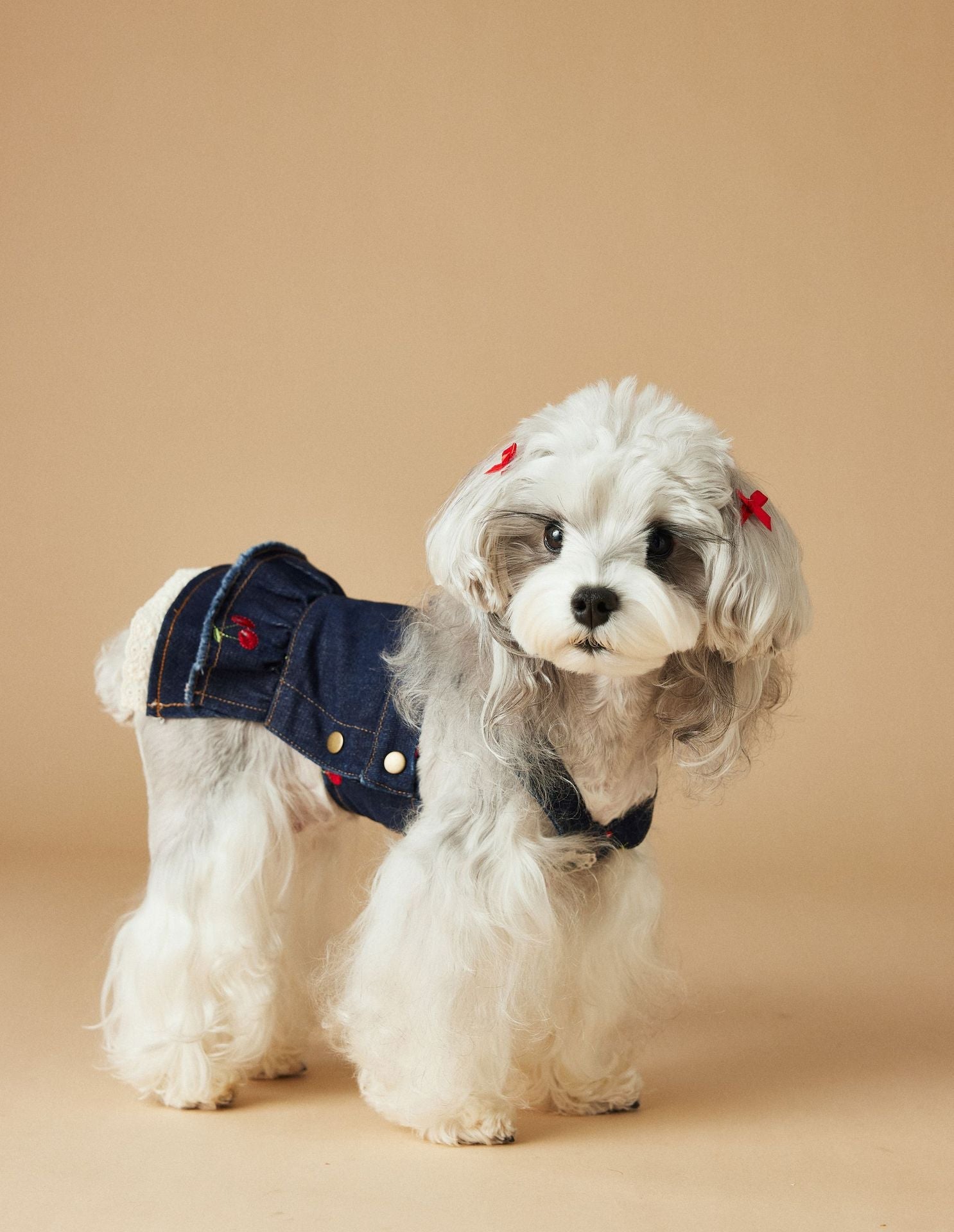 KFX-4411965 Cherry Denim Dress for Dogs - Casual Navy Blue Pet Clothing in Multiple Sizes (XS-XXL)