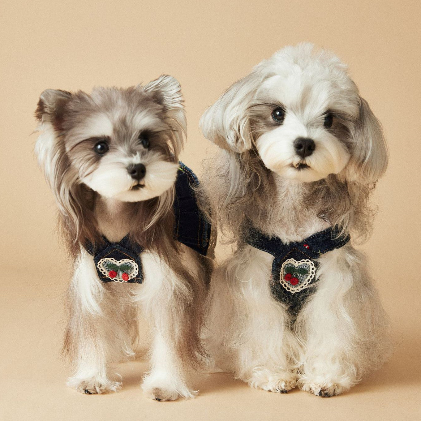 KFX-4411965 Cherry Denim Dress for Dogs - Casual Navy Blue Pet Clothing in Multiple Sizes (XS-XXL)