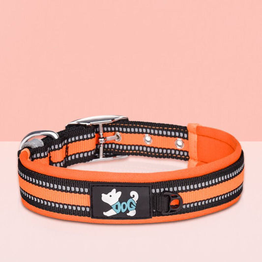 KFX-4415165 Reflective Nylon Collar and Leash Set in Multiple Colors - Adjustable Sizes Available