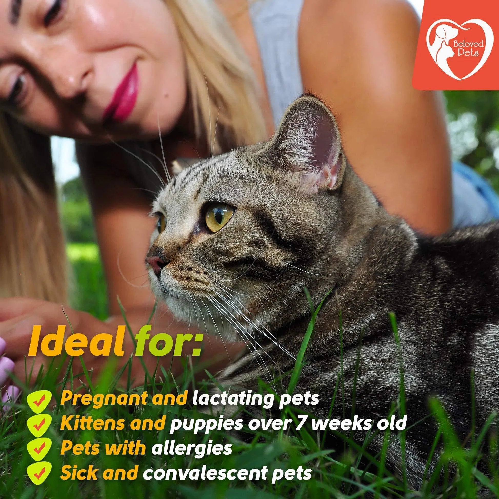 KFX-4419005 Natural Flea and Tick Prevention for Dogs, Cats, and Rabbits – Safe Topical Treatment with Essential Oils