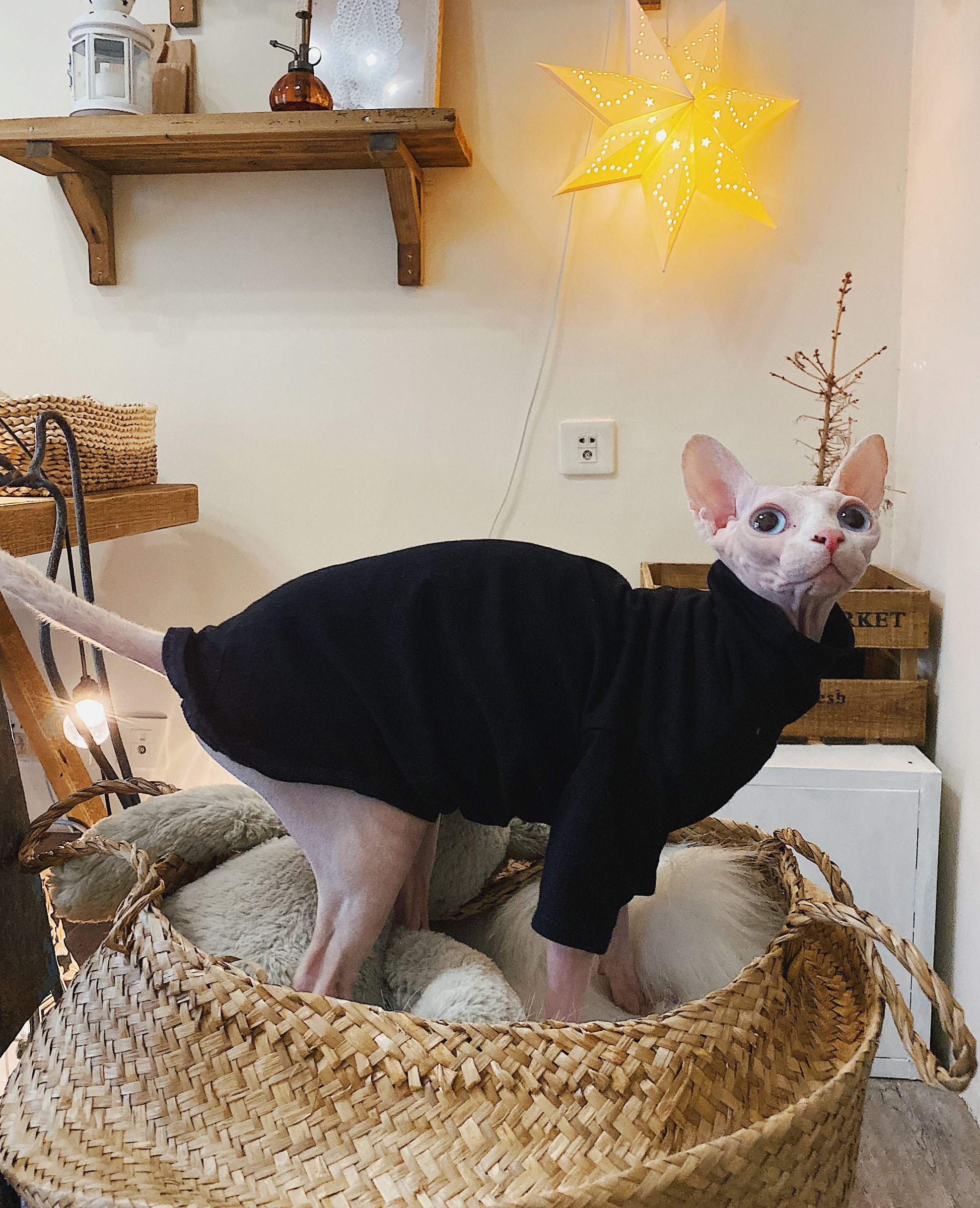 KFX-4419517 Casual Cotton Hypoallergenic T-Shirt for Hairless Cats in Black and White